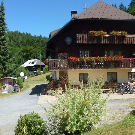 Haus Biehler Διαμέρισμα Todtmoos Εξωτερικό φωτογραφία