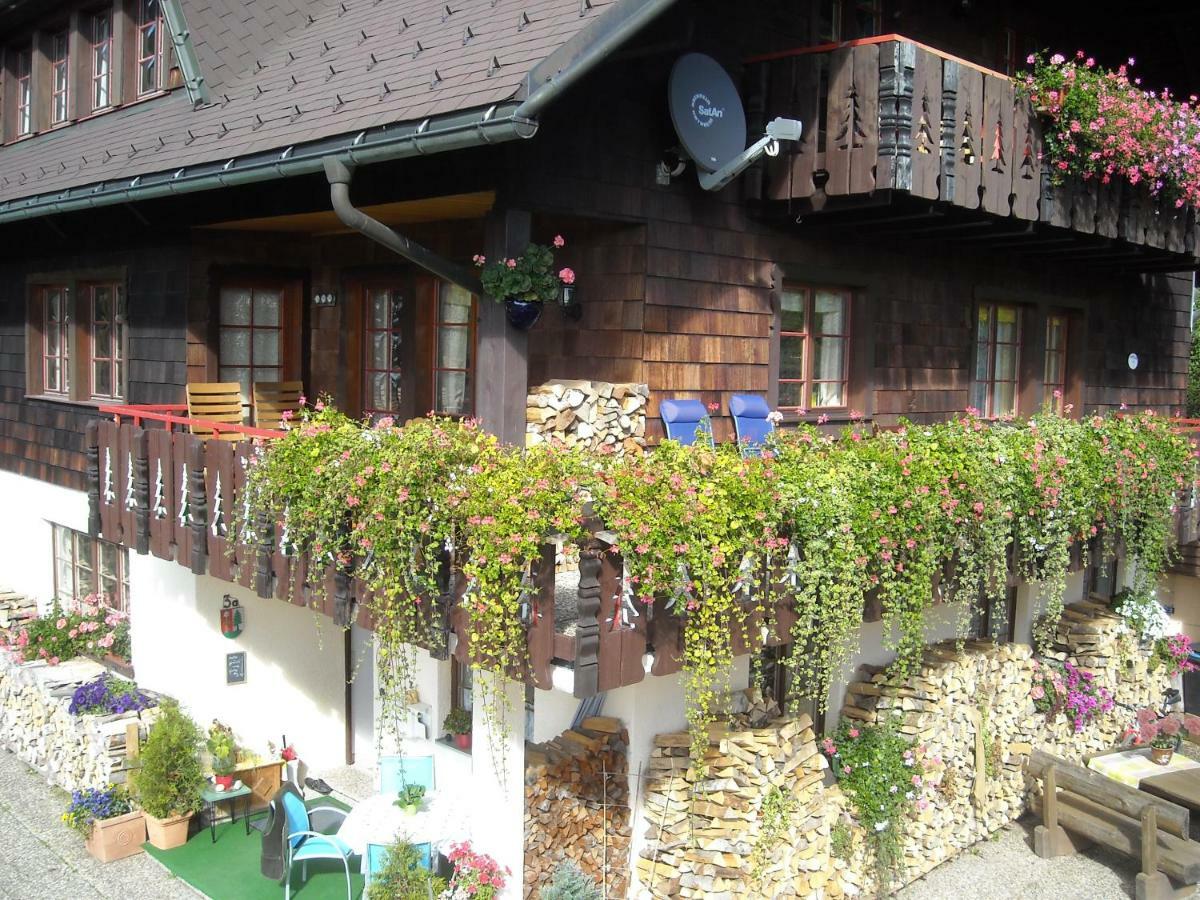Haus Biehler Διαμέρισμα Todtmoos Εξωτερικό φωτογραφία